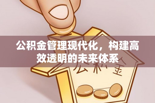东营公积金管理现代化，构建高效透明的未来体系