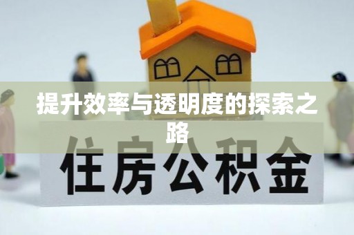 东营提升效率与透明度的探索之路