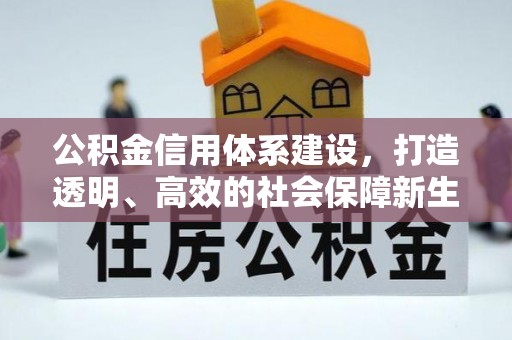 东营公积金信用体系建设，打造透明、高效的社会保障新生态