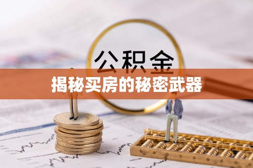 东营揭秘买房的秘密武器