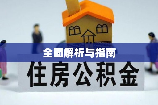 东营全面解析与指南