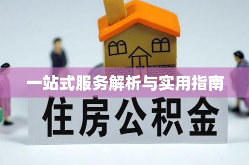 东营一站式服务解析与实用指南